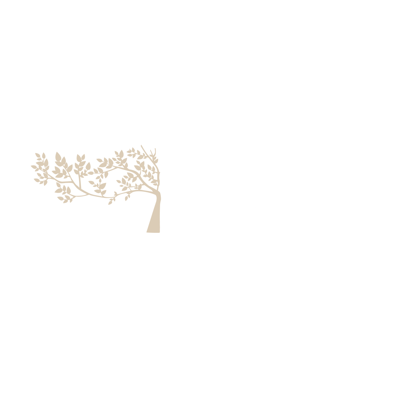 Viver Verde Academy